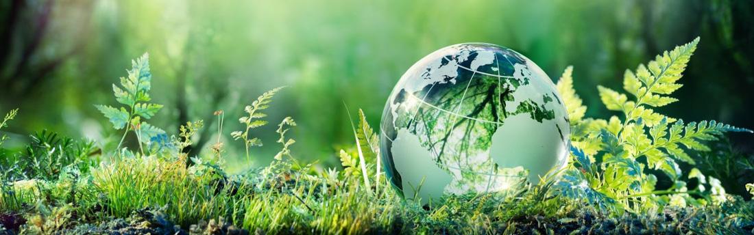 Department of Biology and Environment